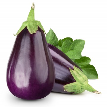 Cahier Aubergines by Anne Hanquiez