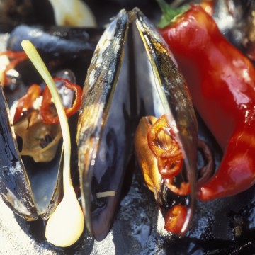 Cahier Fruits de mer by Arnaud Dumoulin