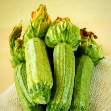 Cahier Courgettes by Anne Lafond