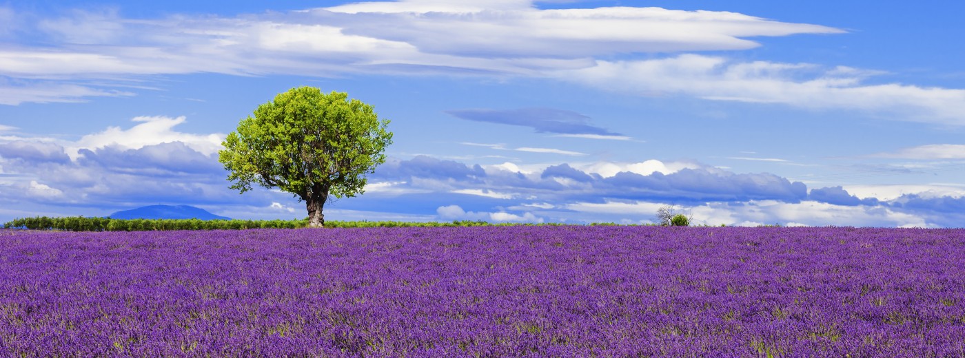 Cahier Provence by La cuisine de nos régions