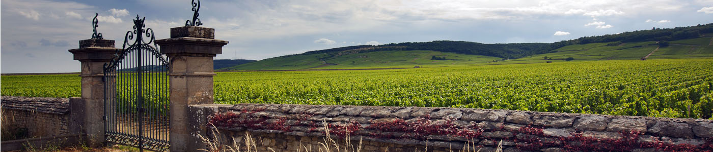 Cahier Bourgogne by La cuisine de nos régions