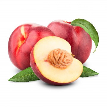 Cahier Nectarines by Anne Hanquiez