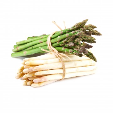 Cahier Asperges by Anne Hanquiez