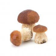 Champignons