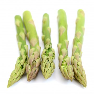 Cahier Asperges by Gwen