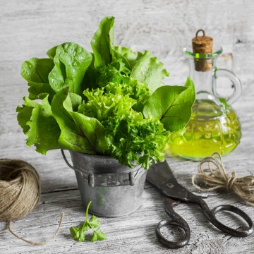 Cahier Salades by Mathilde Briot