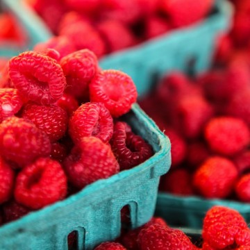 Cahier Framboises by Anne Lafond