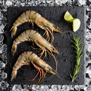 Cahier Crevettes et gambas by Anne Lafond