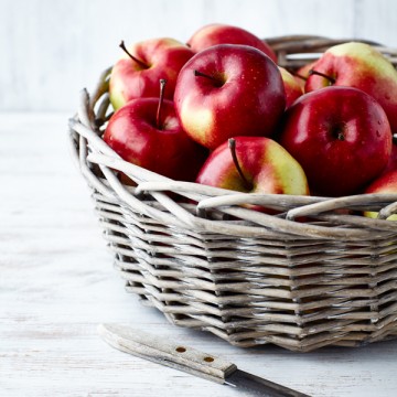 Cahier Pommes by Anne Lafond