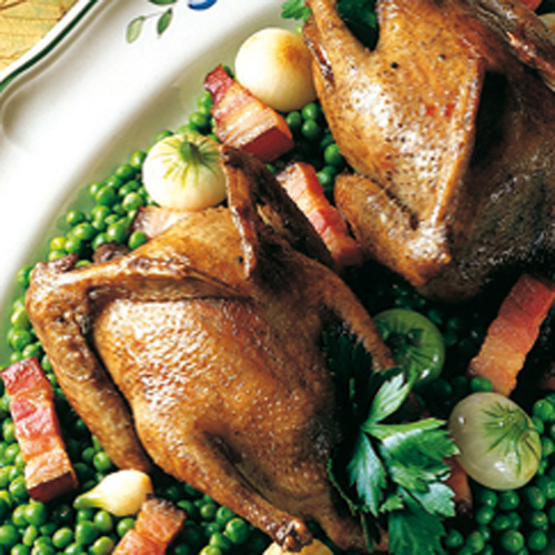 Recette Pigeonneau aux petits pois