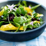 Salade aux fleurs de capucine et de bourrache