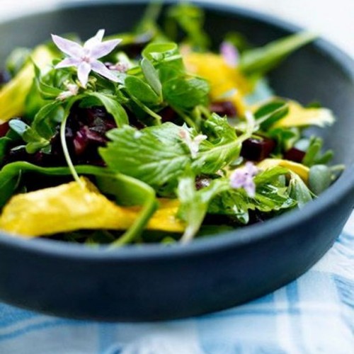 Recette Salade aux fleurs de capucine et de bourrache
