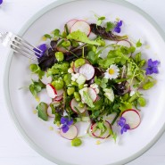 Salade de printemps radis et fèves tièdes