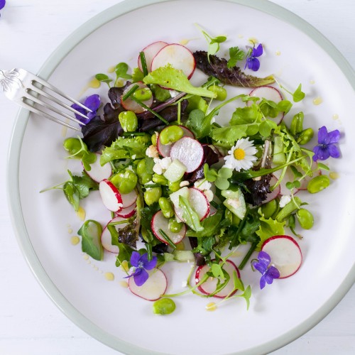 Recette Salade de printemps radis et fèves tièdes
