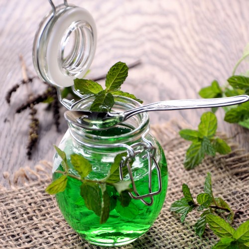 Recette Sirop de menthe maison