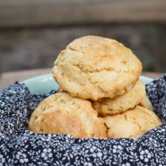 Scones nature