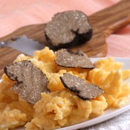 Oeufs brouillés à la truffe noire